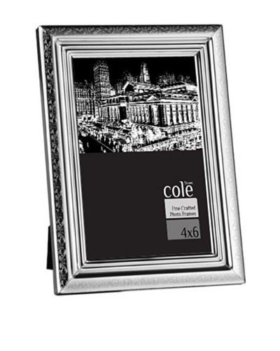 Philip Whitney Etched Silver Border 4x6 Frame