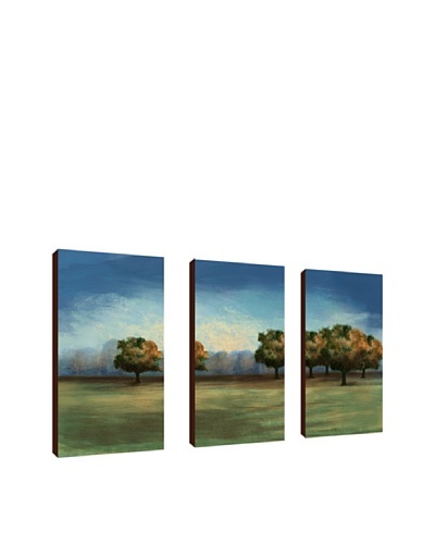 PTM Images Treescape Giclée Triptych Canvas