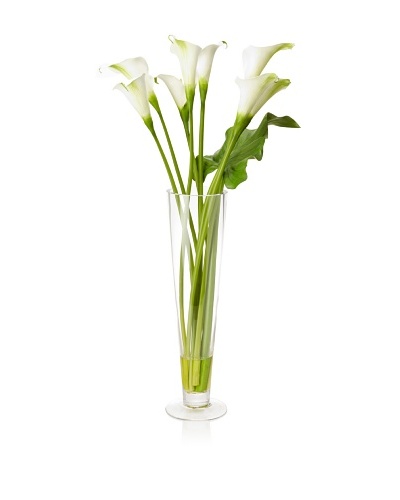 Winward Faux Calla in Flute Vase, White, White