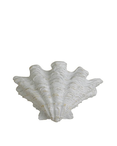 Shades of Light Scallop Shell Wall Sconce