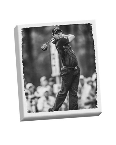Steiner Sports Memorabilia Rory McIlroy Stretched Canvas