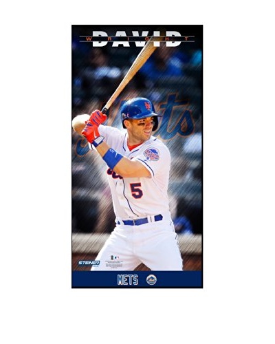 Steiner Sports Memorabilia David Wright New York Mets Player Profile Framed Photo
