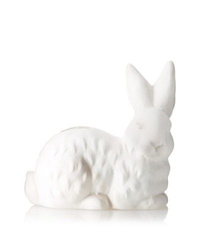 The HomePort Collections Rested Cottontail Ceramic Bank