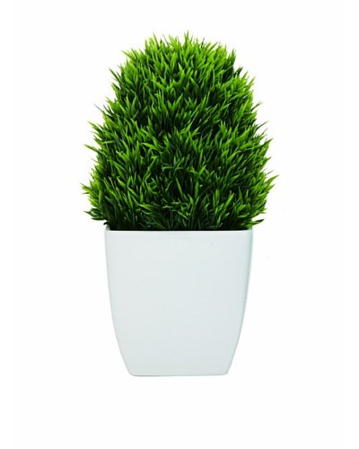 Torre & Tagus Tapered Ceramic Potted Faux Grass, White, Large