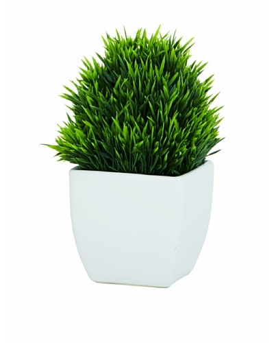 Torre & Tagus Tapered Ceramic Potted Faux Grass, White, Small