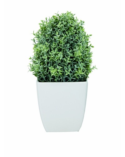 Torre & Tagus Tapered Ceramic Potted Faux Thyme, White, Large