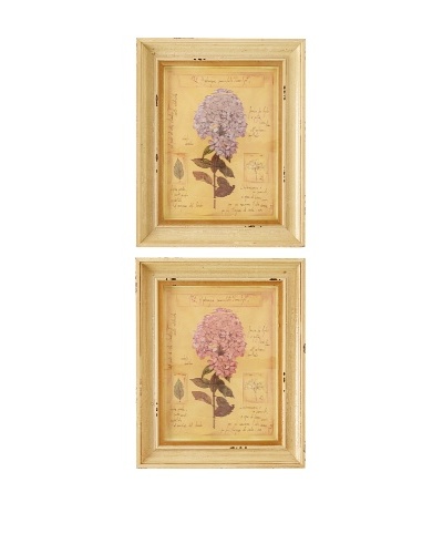 Two's Company Set of 2 Officina Naturalis Hydrangea Prints