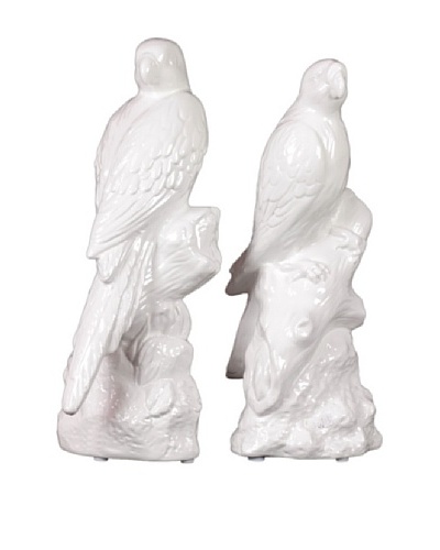 Urban Trends Collection Ceramic Parrot Bookends, White