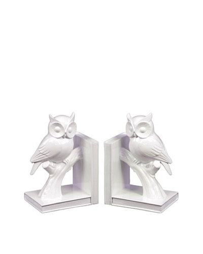 Urban Trends Collection Ceramic Owl Bookends, WhiteAs You See