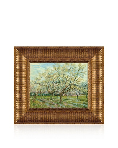 Vincent van Gogh The White Orchard, 1888 Framed Canvas