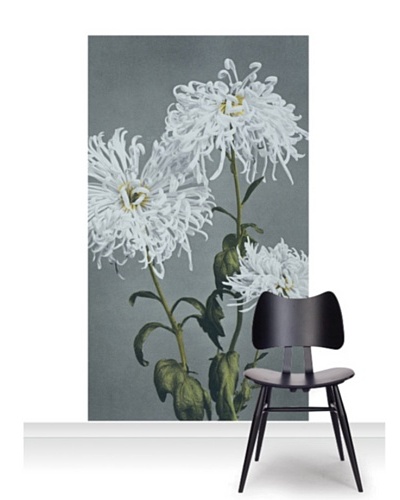 Victoria and Albert Museum Chrysanthemum Standard Mural [Accent]
