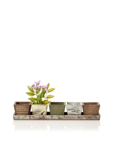 Wald Imports Rustic Planters & Tray Set, Assorted Finishes
