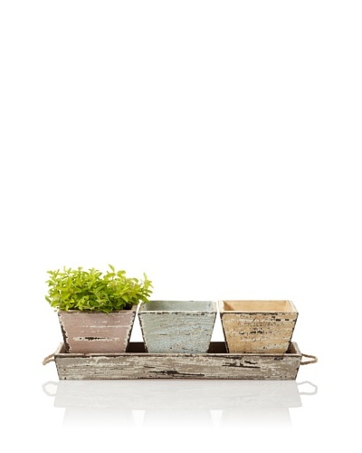 Wald Imports Vintage-Look Wood Planters & Tray Set, Assorted Pastels