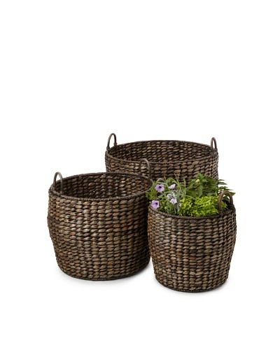 Wald Imports Set of 3 Twisted Seagrass Baskets/Planters, Espresso
