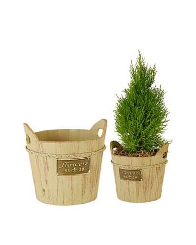 Wald Imports Set of 2 Vintage-Look Wooden Planters with Metal Plate [Fresh Green]