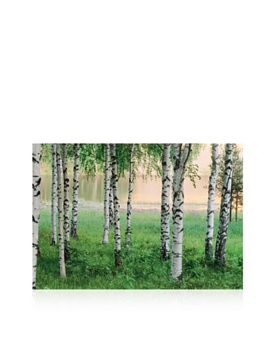 Nordic Forest Large Wall Mural