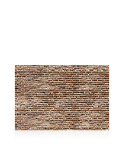 Exposed Brick Wall Mural