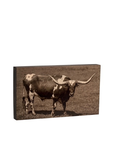 Walnut Hollow Longhorn Bull Wooden Shadowbox Plaque