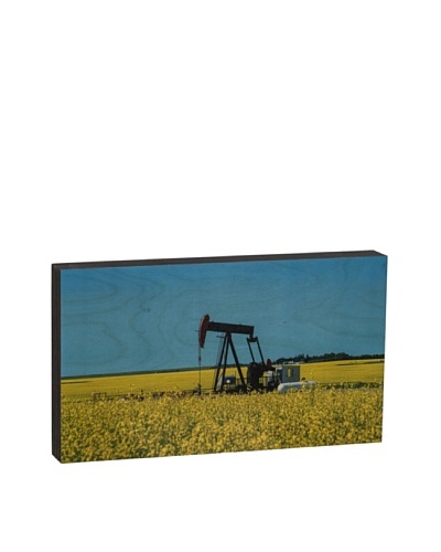 Walnut Hollow Oil Pump in Field Wooden Shadowbox Plaque