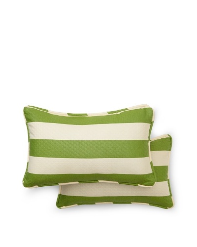 Set of 2 Solstice Rectangle Decorative Throw Pillows [Cactus]