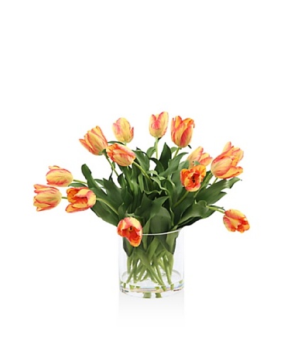 Winward Tulip In Glass