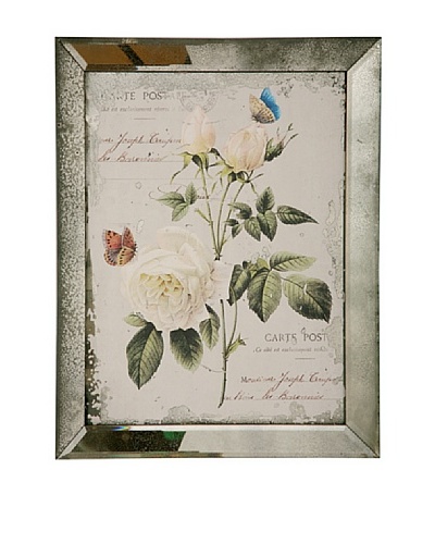 Winward English Rose II Framed Print