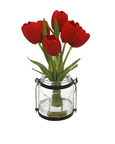 Winward Tulip in Country Jar