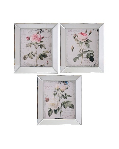 Winward Set of 3 Assorted Framed Botanical Rose Prints