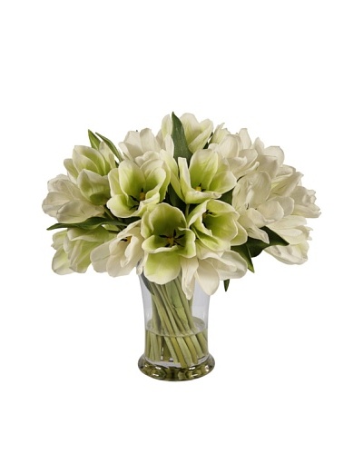 Winward Tulip in Glass Vase