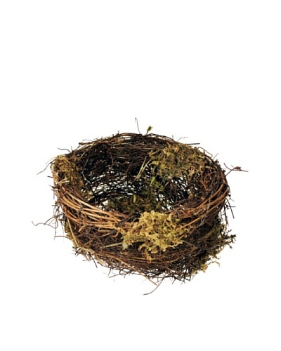 Winward Twig Bird Nest with Moss